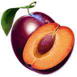 Hot Hot Fruit doubled plum symbol from official Habanero rules artwork