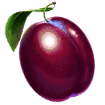 Hot Hot Fruit single plum symbol from official Habanero rules artwork